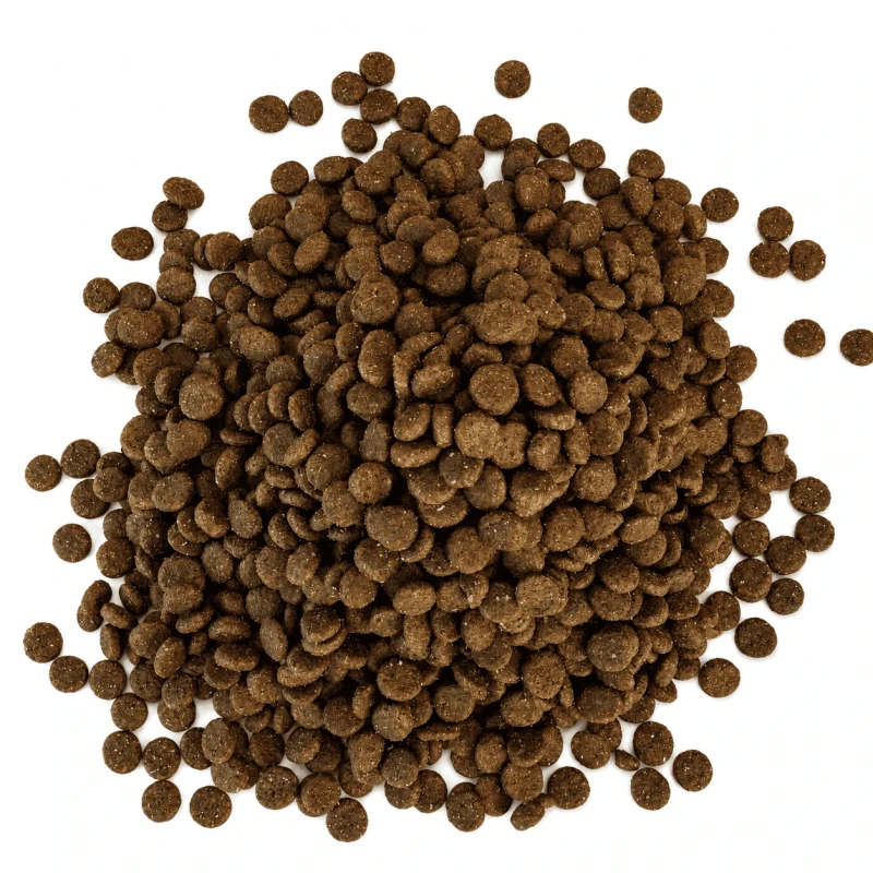 Saumon (chiot) sans céréales - Sources du Nord 2kg