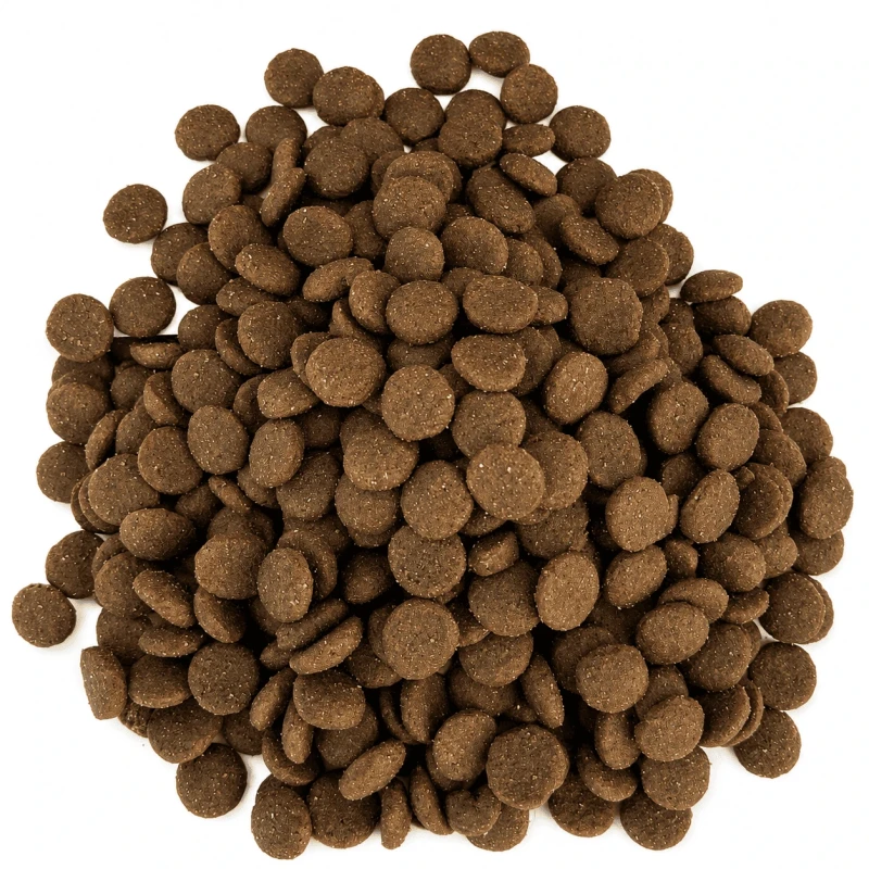 Saumon sans céréales - Eaux vives 2kg