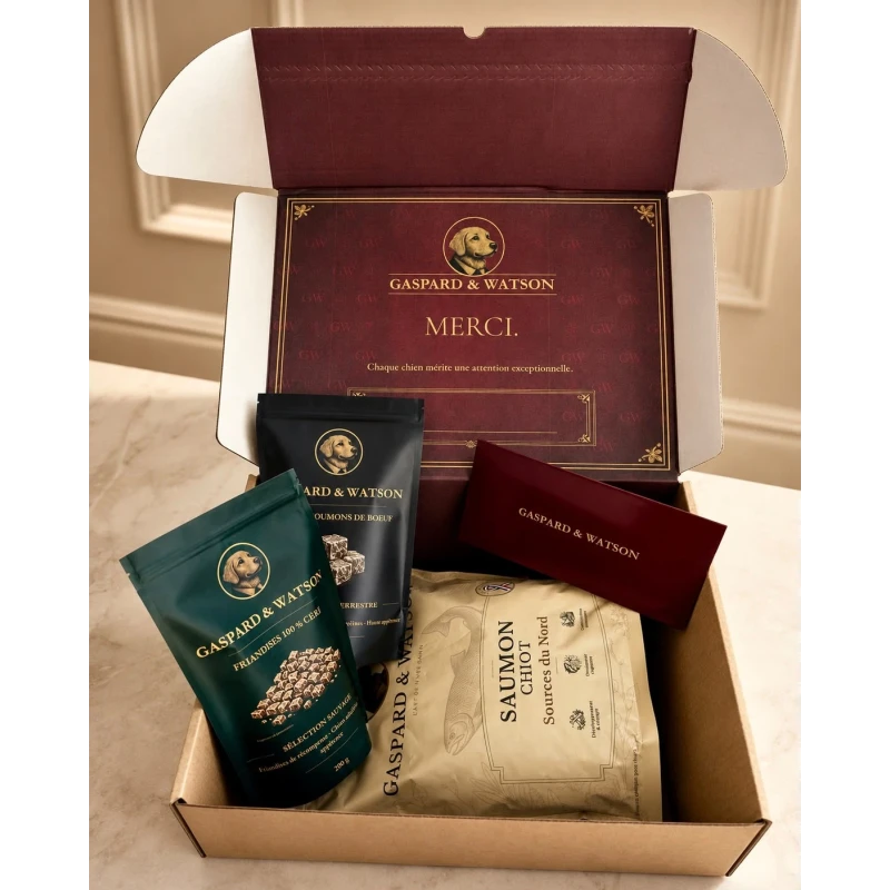 Coffret découverte